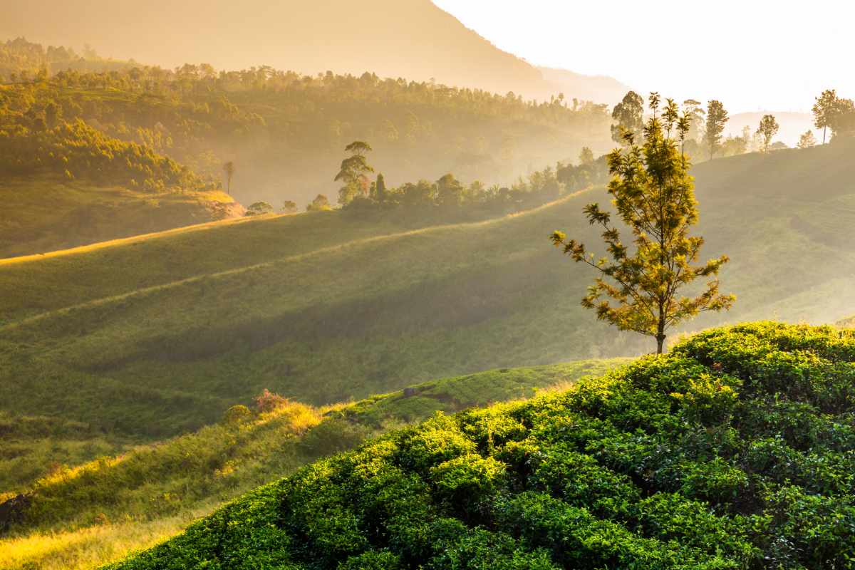 April travel experiences in Sri Lanka