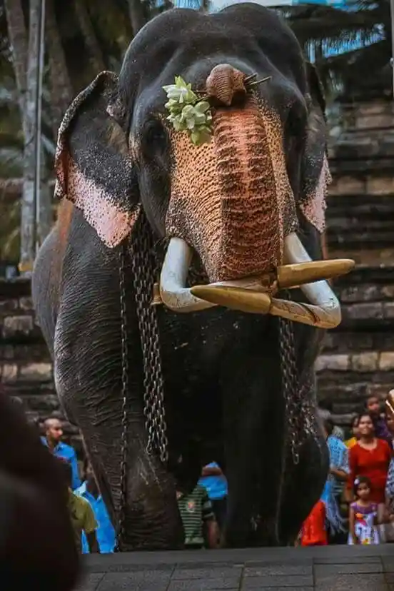 Ancient sites during festival season