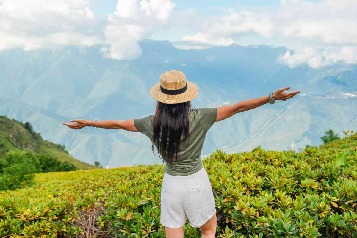 Scenic hill country viewpoints