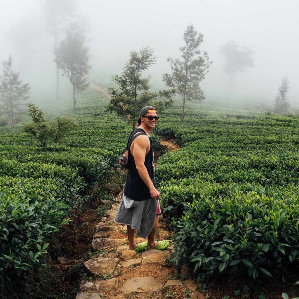 Knuckles Range trekking trails