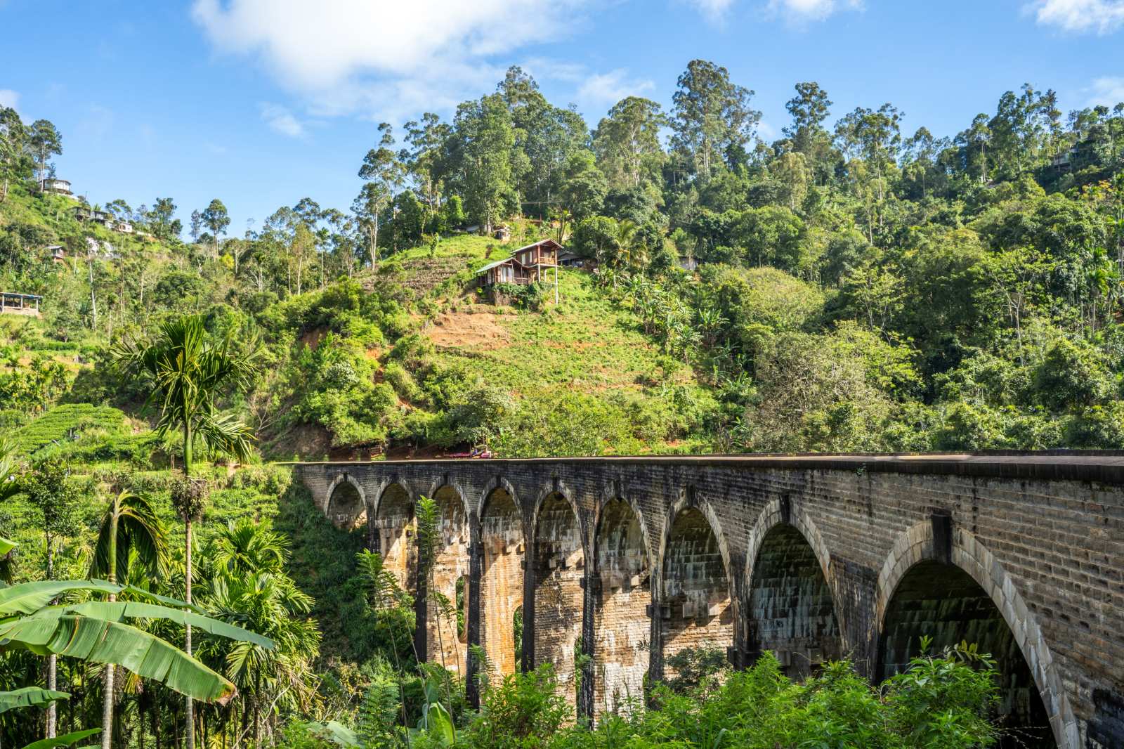 Green inter-monsoon landscapes in Sri Lanka during October